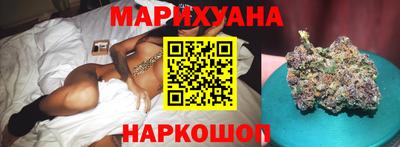 сатива Новозыбков