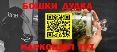 сатива Новозыбков