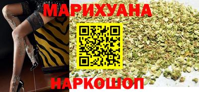 сатива Новозыбков