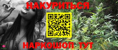 сатива Новозыбков