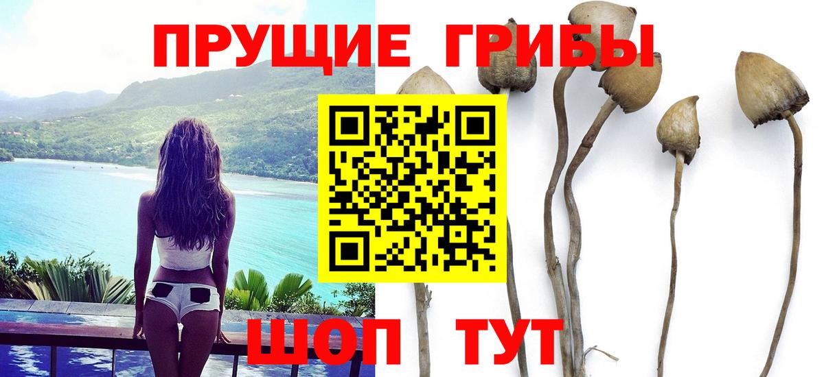 Галлюциногенные грибы мицелий  Галлюциногенные грибы Cubensis  Ступино  Вход с VPN 