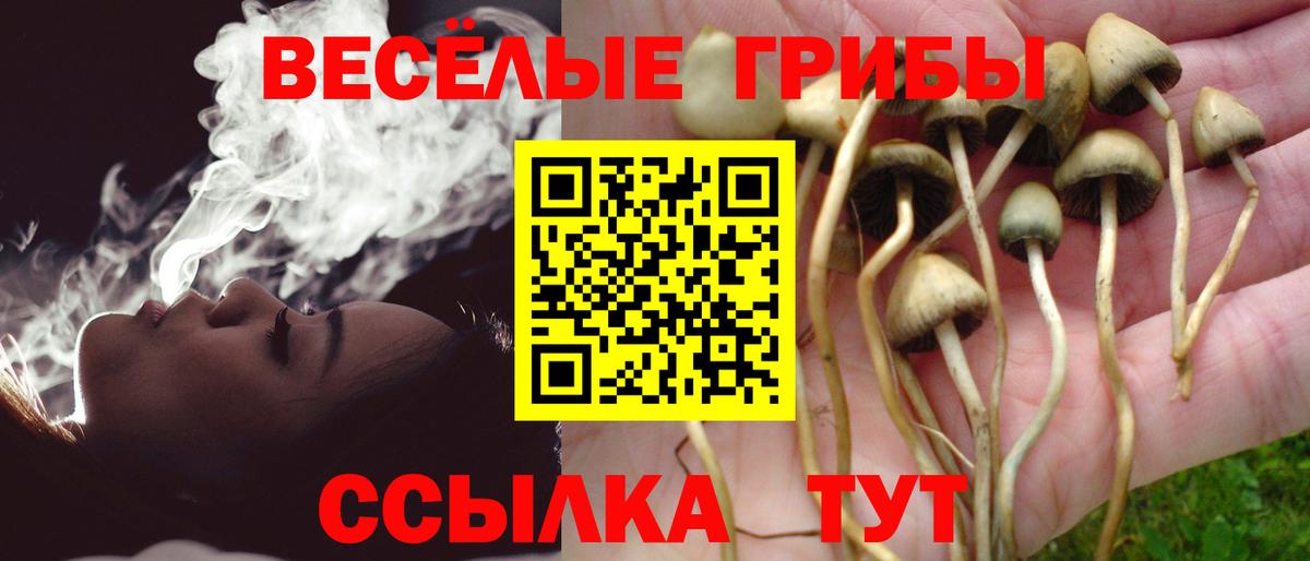 Галлюциногенные грибы GOLDEN TEACHER Ступино