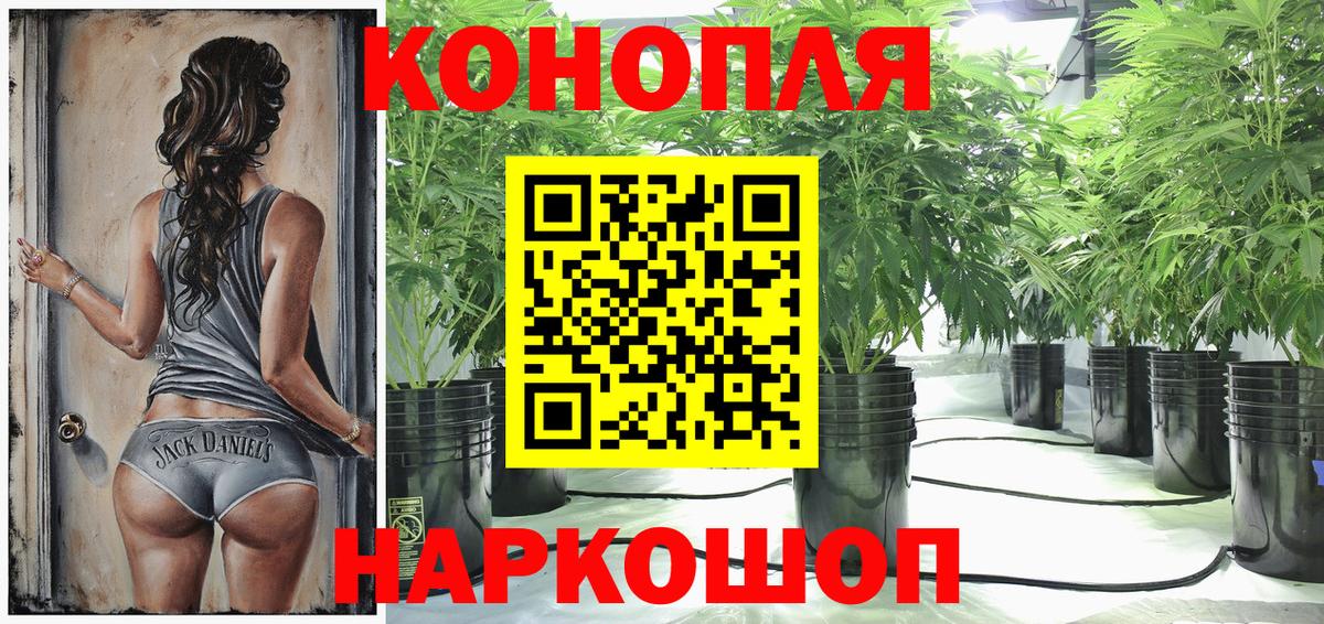 Бошки марихуана гибрид Ступино