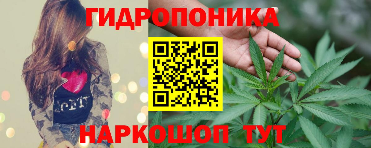 Шишки марихуана Amnesia  Бошки марихуана семена  Ступино  Шишки марихуана Bruce Banner  Вход с VPN 